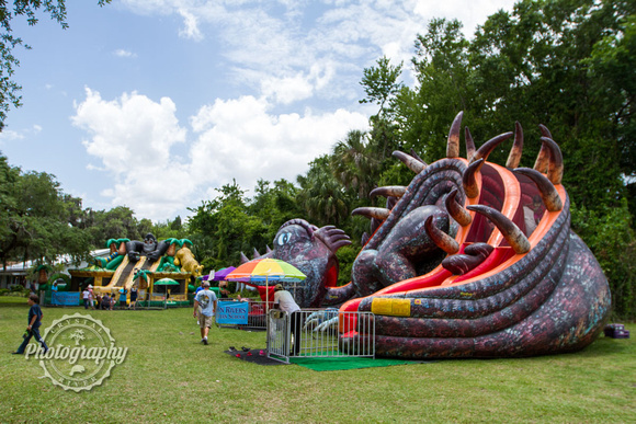 Pirate Fest 2017 Crystal River Photography 0053